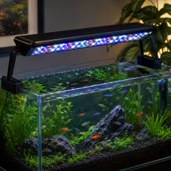 LED Aquarium Light